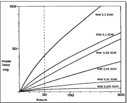 Figura 3-8. Curvas de Pérdida de Masa versus Tiempo para pruebas de erosión de  especímenes de acero inoxidable