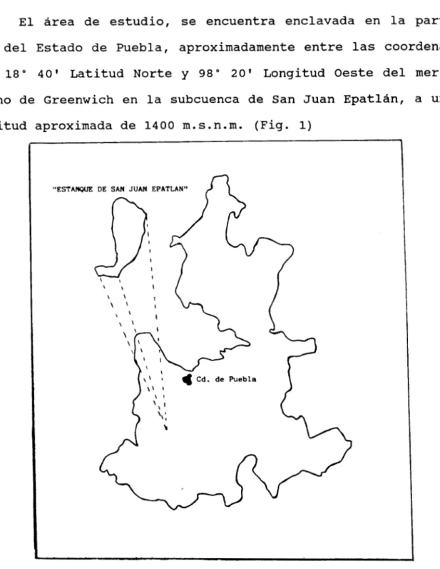 Fig.  1 .   Ubicaci6n  del  Brea  de  estudio. 