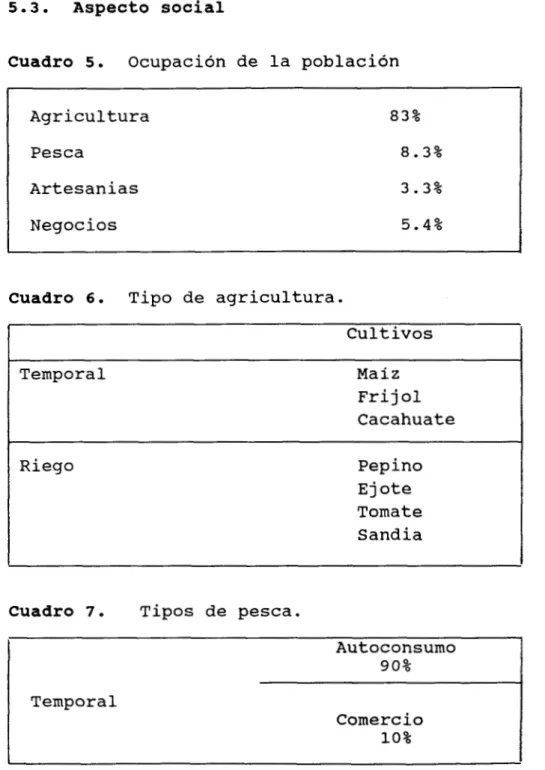 Cuadro  5 .   Ocupación  de  la  población 
