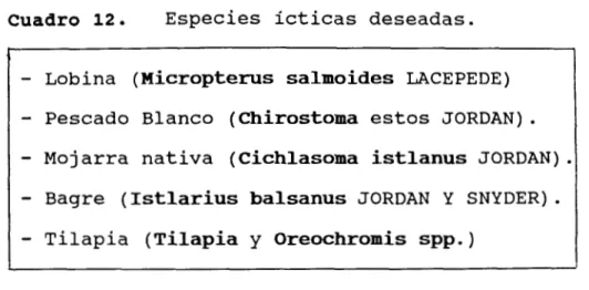 Cuadro  13.  Problemas  ambientales. 