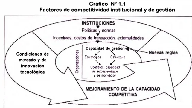 Gráfico  N º  1.1 