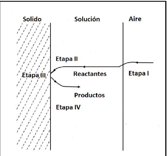Figura 2. 3 : Difusión en la reacción 