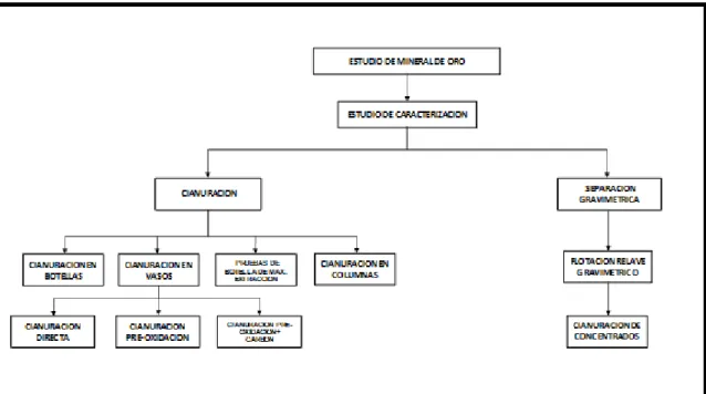 Figura 3. 1 : Esquema general de estudio 