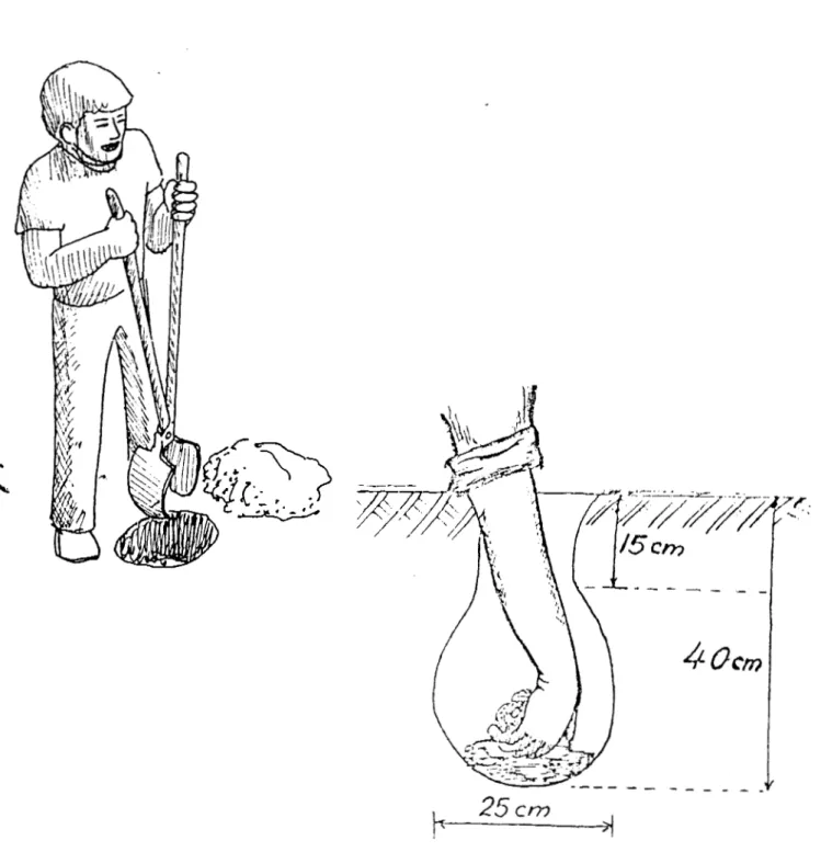 Fig.  3.  Construcci611  de  nidos 