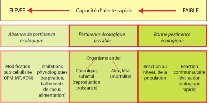 Figure 4. Relation entre la pertinence écologique et la capacité d’alerte rapide vis-à-vis des  réactions biologiques mesurables (tiré de la Résolution VII.10, Manuel 18, 4 e  édition, 2010) 