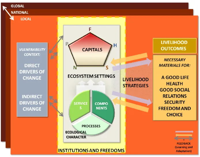 Figure 2. The framework for integrated assessment of wetlands-livelihoods interlinkages (derived  from the Millennium Ecosystem Assessment’s conceptual framework for ecosystems and human 