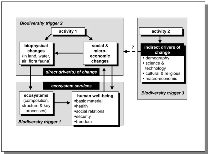 Figure 1. Assessment framework (explanation in main text) 