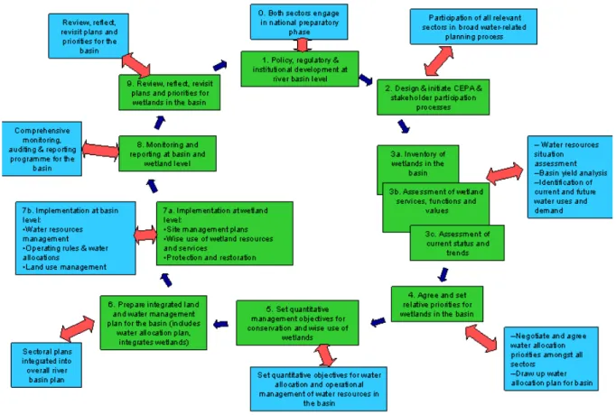 Figure 2: Synchronisation of planning and management processes in the wetlands and water  sectors