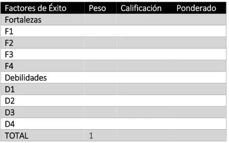 Tabla 3. Formato de matriz EFI. 