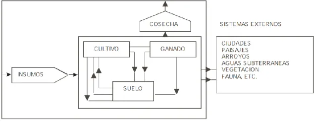 Figura  1.  Estructura  general  de  un  agroecosistema  y  su  relación  con  los  sistemas  externos