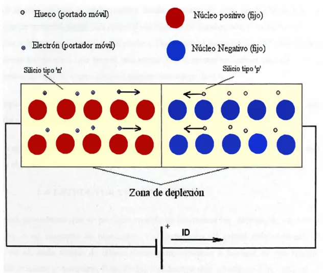 Figura 2.2 Muestra de una juntura de huecos y electrones.