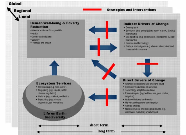 Figure 2. The Millennium Ecosystem Assessment’s (MA) Conceptual Framework.  (from: Millennium Ecosystem Assessment