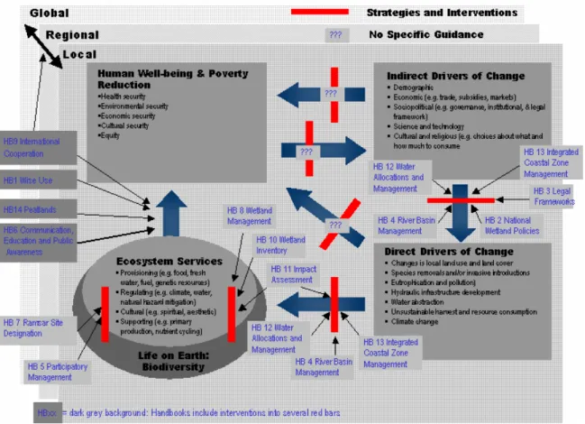 Figure 2. A Conceptual Framework for the Wise Use of Wetlands and the  maintenance of their ecological character, and the application of the 