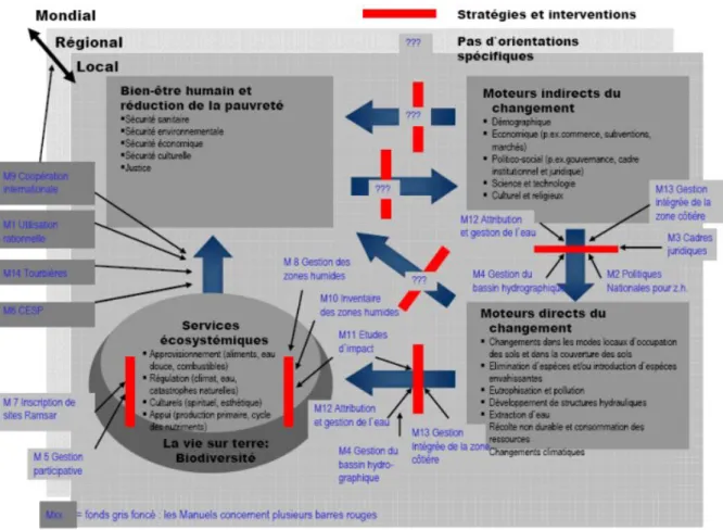 Figure 1. Cadre conceptuel pour l’utilisation rationnelle des zones humides, le maintien  de leurs caractéristiques écologiques et l’application des lignes directrices contenues  dans les Manuels Ramsar sur l’utilisation rationnelle 2 e  édition (2004)