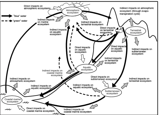 Figure 1: Phases of the Hydrological Cycle, showing the inter-relationships between environmental  components and the so-called “blue” and “green” water components of the hydrological cycle, where  “blue water” refers to all water that is controlled by phy
