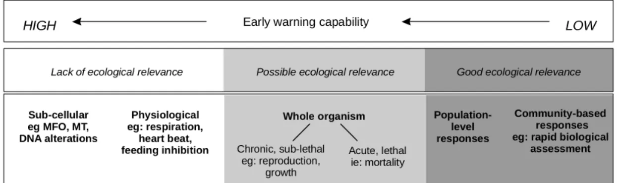 Figure 3. The relationship between ecological relevance and early warning capability to  measure biological responses (from Annex to Resolution VII.10 Wetland Risk Assessment 