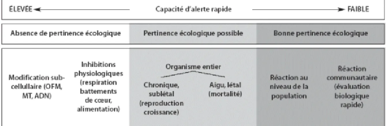Figure 3. Relation entre la pertinence écologique et la capacité d’alerte rapide vis-à-vis  des réactions biologiques mesurables (tiré de l’Annexe à la Résolution VII.10 Cadre 