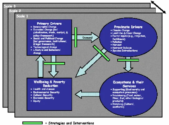 Figure 1: Millennium Ecosystem Assessment (MA) conceptual framework (from  (www.millenniumassessment.org/en/meetings/design.workshop.2.summary.pdf)