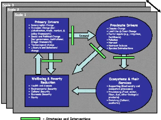 Figure 1: Millennium Ecosystem Assessment (MA) conceptual framework (from 