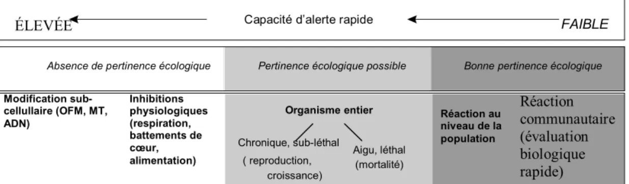 Figure 2 Relation entre la pertinence écologique et la capacité d’alerte rapide vis-à-vis  des réactions biologiques mesurables 