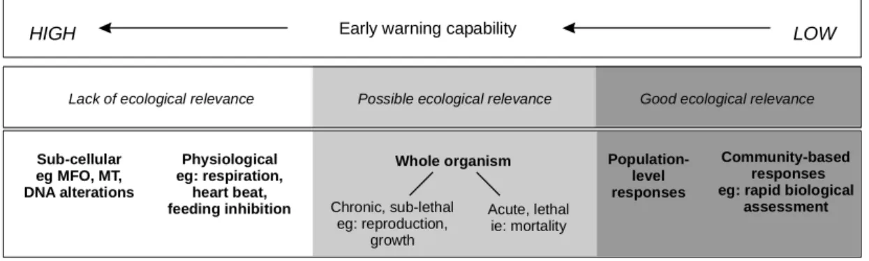 Figure 2: Relationship of ecological relevance and early warning capability to measurable biological  responses  