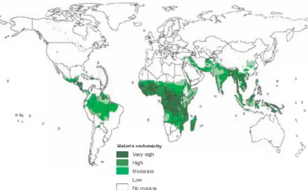 Figura 4.  DisWbudón g e ^ rá fira  de la malaria a nivel mundial.10