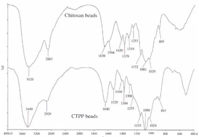 Figura 3.  Espectro FTIR de perlas de quitosano y CTTP.