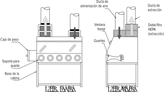 Ilustración No. 7: 