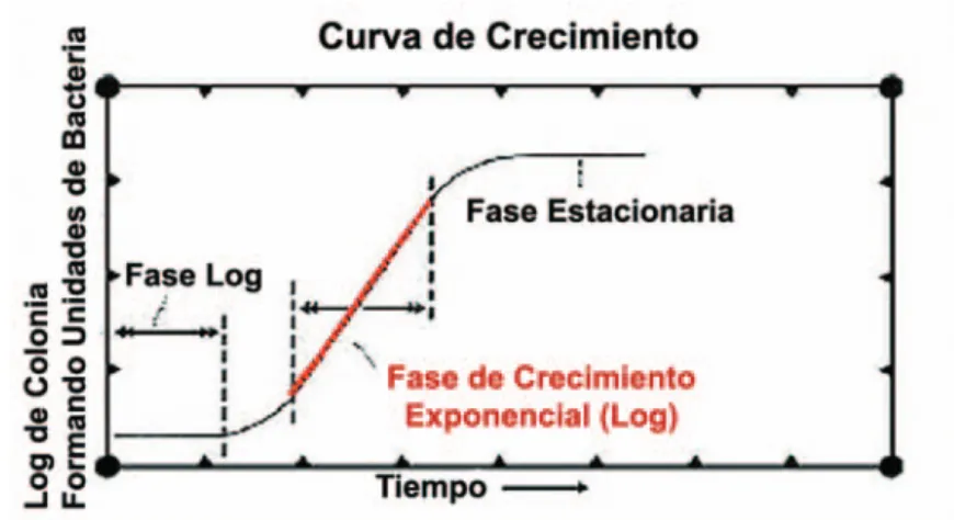 Figura 4.3—Plot de un crecimiento de fase log