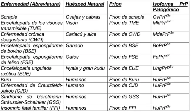 Tabla 1. Las Enfermedades del Prion 