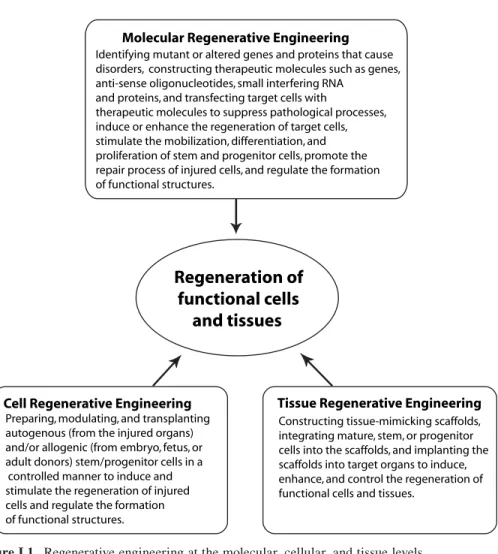 Figure I.1.  Regenerative engineering at the molecular, cellular, and tissue levels.