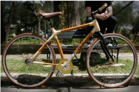 Figura 21. Gallardo Bikes. 
