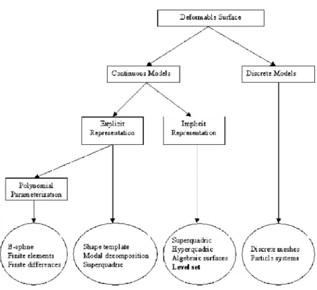 Figure 2.1: Geometric representations of deformable surfaces.