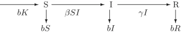 Fig. 2.3. Diagram of the SIR model without vertical transmission