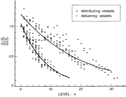 Fig. 1.7.3. Diameter measurements from casts of human coronary arteries. Mea-