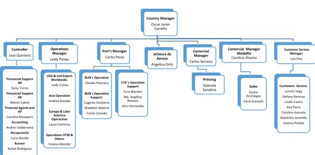 Figura 3. Organigrama estructura organizacional Vanguard Logistics 
