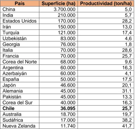 Tabla 11.Superficie para el cultivo de manzanas y productividad del área de producción en toneladas por  hectárea