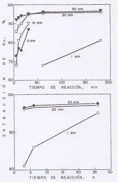 FIGURA Nº1.5.- Influencia del tiempo y de la presión de oxígeno en la  extracción de oro por cianuración