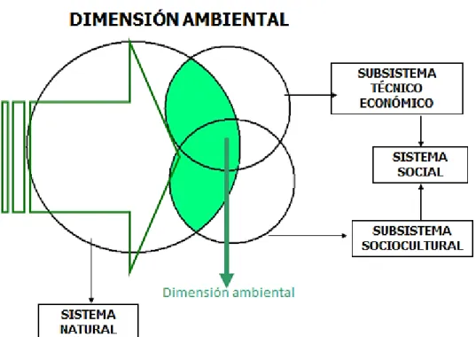 Figura 1. Dimensión ambiental 