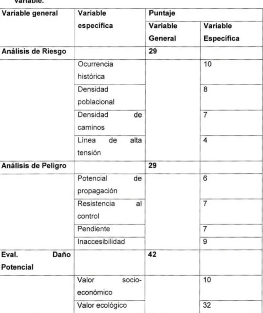 Cuadro  7:  Puntaje  asignado  por expertos  para  la  ponderación  de  cada  variable