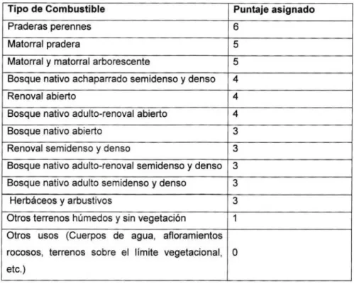 Cuadro 13:  Puntaje  asignado  a  los  factores  componentes  de  la  variable  Resistencia al Control