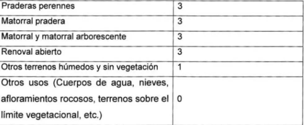 Cuadro  14:  Puntaje  asignado  a  los  factores  componentes  de  la  variable  Pendiente