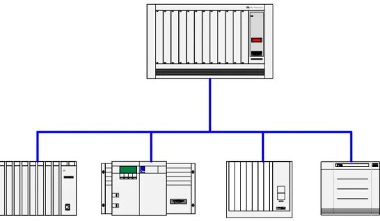 Figura 4.1  IEDs comunicados con RTU 
