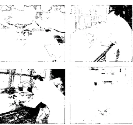 Foto  N°  09.  Determinación  del  Peso  Seco  de  la Muestra  de  Ramas  (izquierda),  Tallo  (derecha),  Hojas  (abajo  izquierda),  Raíz  (abajo  derecha)