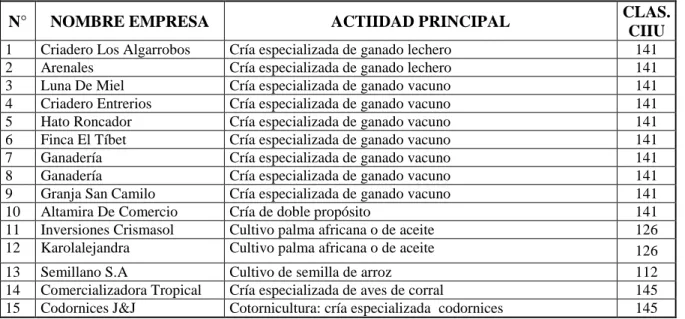 Cuadro 11. Clasificación CIIU Seccional A