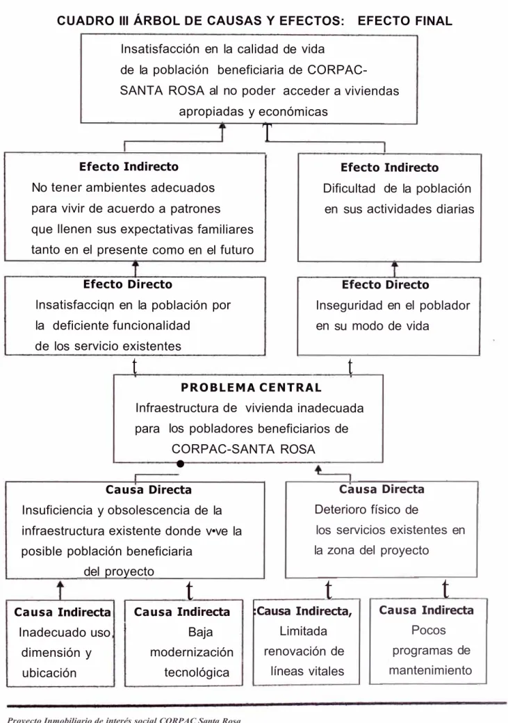 CUADRO III ÁRBOL DE CAUSAS Y EFECTOS:  EFECTO FINAL  lnsatisf acción en  la calidad de  vida 