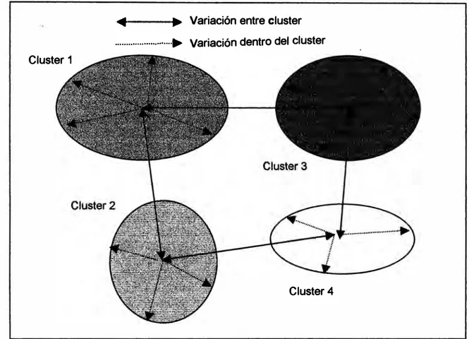 Figura 1: Diagrama de Conglomerados que muestra la variación dentro y entre conglomerados 