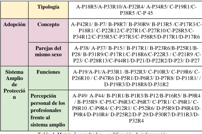 Tabla 4. Matriz de resultados - codificación de información   