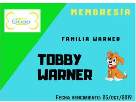 Ilustración 8. Membresía 