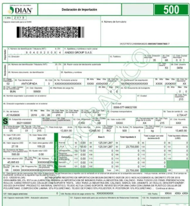 Figura 8. Borrador declaración de importación 